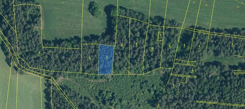 Prodej lesa, Myslív, 4556 m2