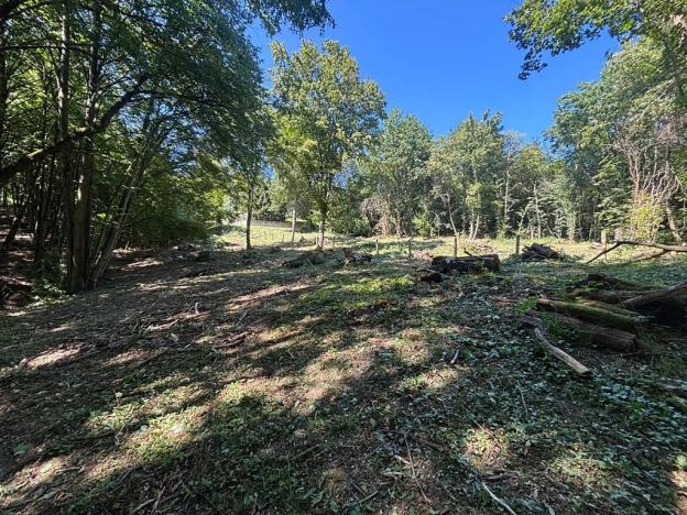 Prodej zahrady, Zlín, 1985 m2