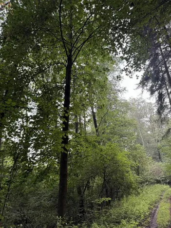 Prodej pozemku, Blíževedly, 2644 m2