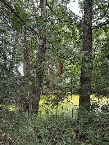 Prodej podílu pozemku, Kojice, 4807 m2