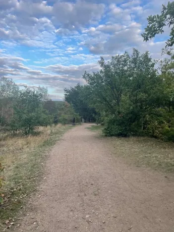 Prodej lesa, Bílina, 7458 m2