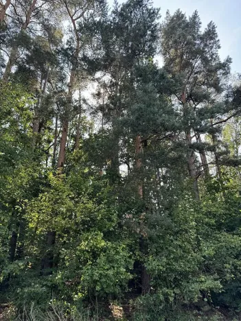 Prodej podílu pozemku, Hradiště, 3093 m2