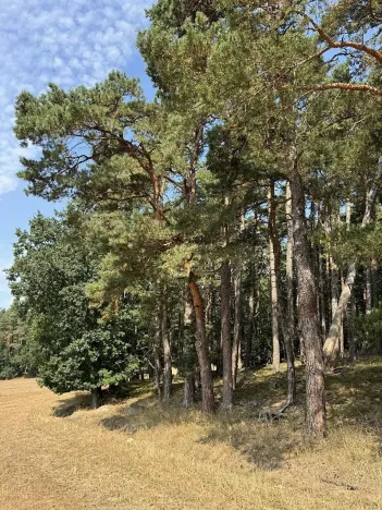 Prodej podílu pozemku, Hradiště, 3093 m2