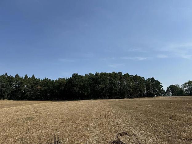 Prodej podílu pozemku, Hradiště, 3093 m2