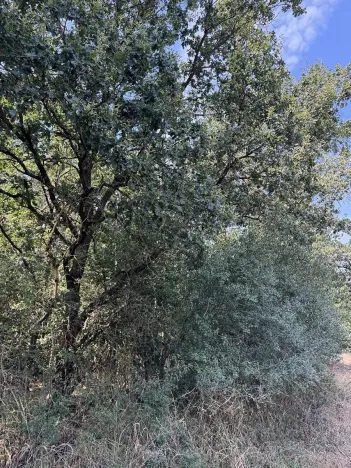 Prodej podílu pozemku, Hradiště, 3093 m2