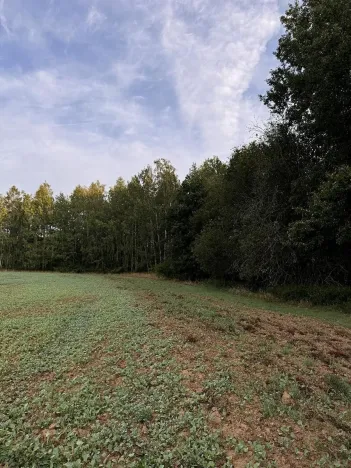 Prodej pozemku, Úštěk, 3584 m2