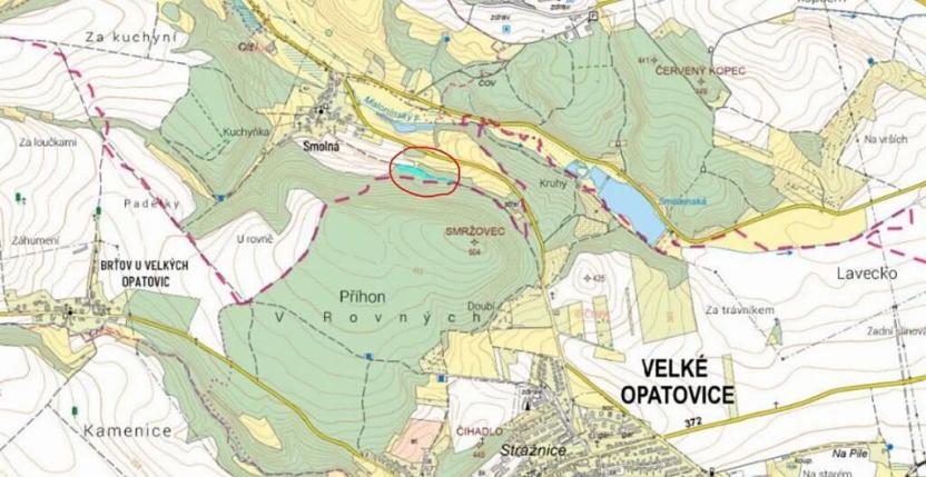 Prodej lesa, Bělá u Jevíčka, 5469 m2