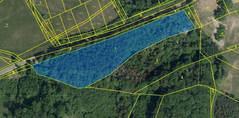 Prodej podílu lesa, Poběžovice u Holic, 4756 m2