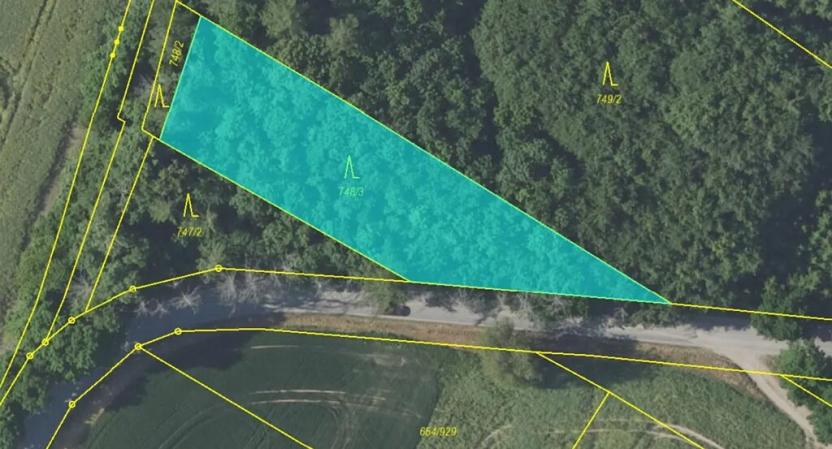 Prodej lesa, Vlašim, 3990 m2