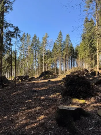 Prodej podílu pozemku, Studená, 18432 m2