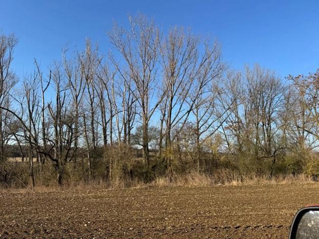 Prodej lesa, Mělnické Vtelno, 14092 m2