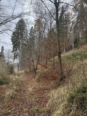 Prodej lesa, Luká, 8606 m2