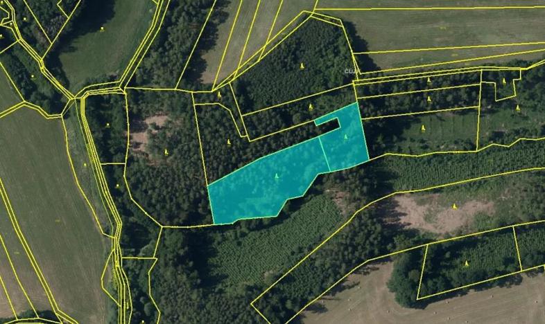 Prodej lesa, Luká, 8606 m2