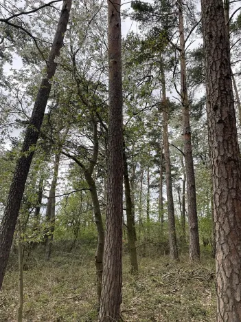 Prodej pozemku, Hradiště, 9237 m2