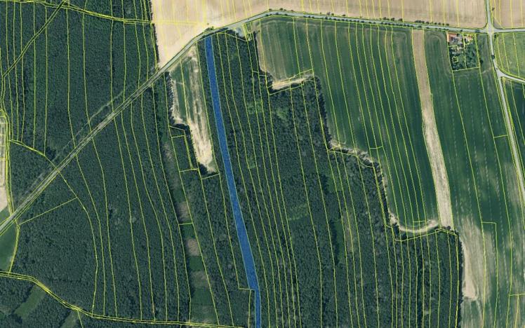 Prodej lesa, Hromnice, 12972 m2