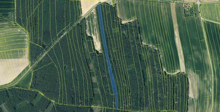 Prodej lesa, Hromnice, 12972 m2