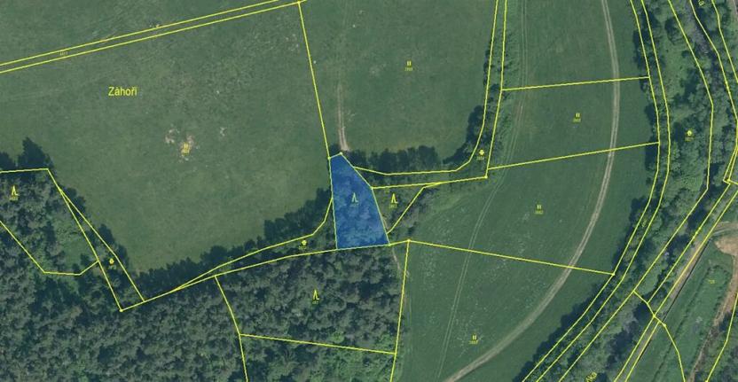 Prodej podílu lesa, Malenice, 3819 m2