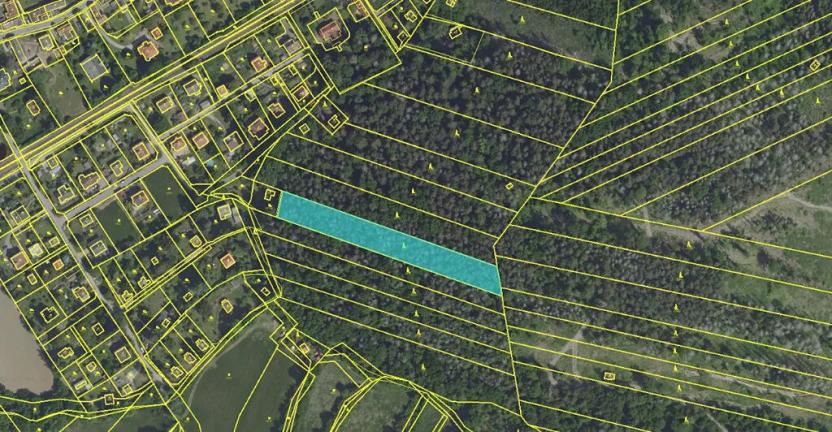 Prodej lesa, Lštění, 4810 m2