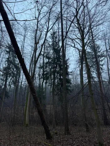 Prodej pozemku, Třebechovice pod Orebem, 14875 m2