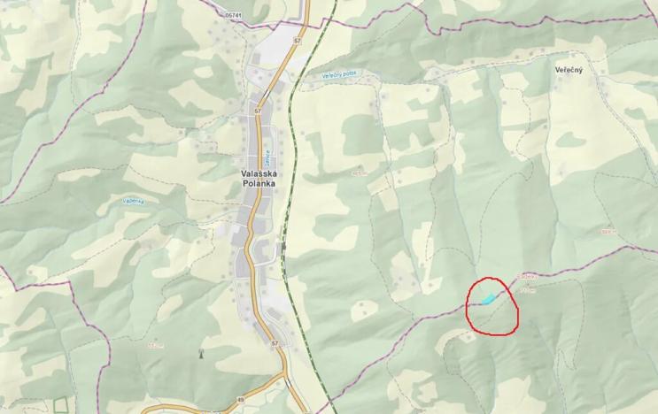 Prodej podílu lesa, Valašská Polanka, 1343 m2