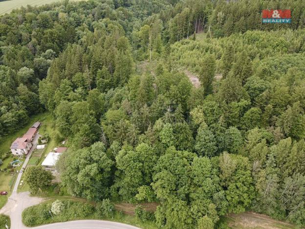 Prodej lesa, Ústí nad Orlicí - Oldřichovice, 2745 m2