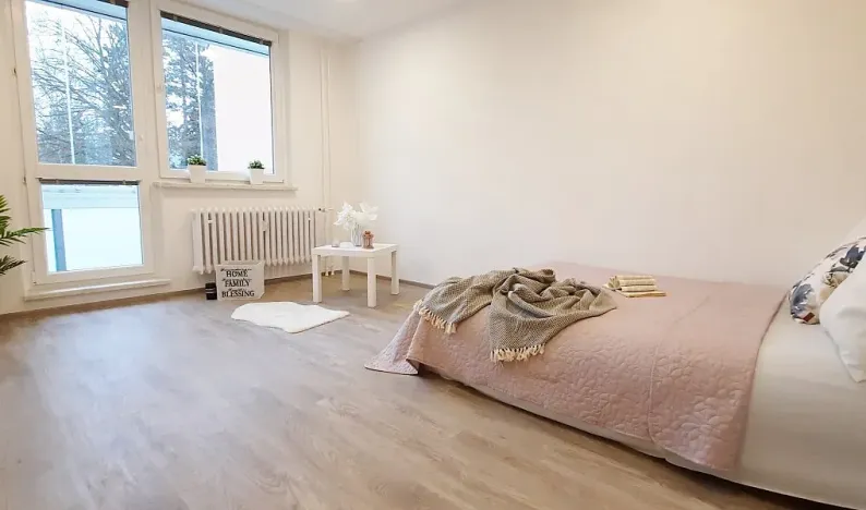 Pronájem bytu 1+1, Brno, Fričova, 46 m2