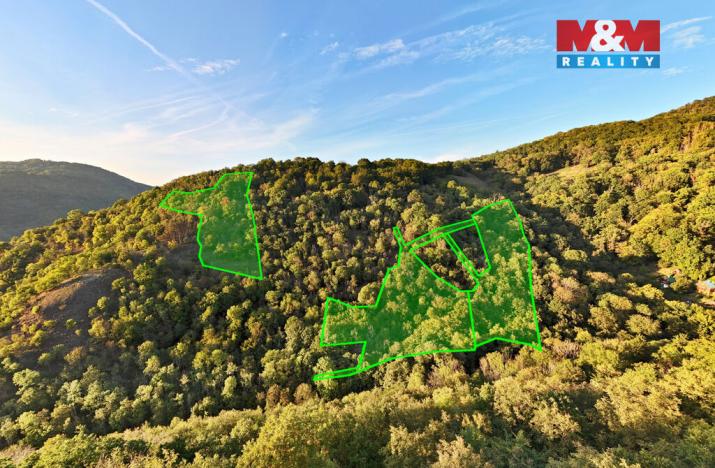 Prodej lesa, Ústí nad Labem - Sebuzín, 23067 m2