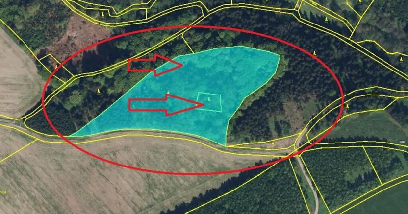 Prodej podílu lesa, Liberk, 5585 m2