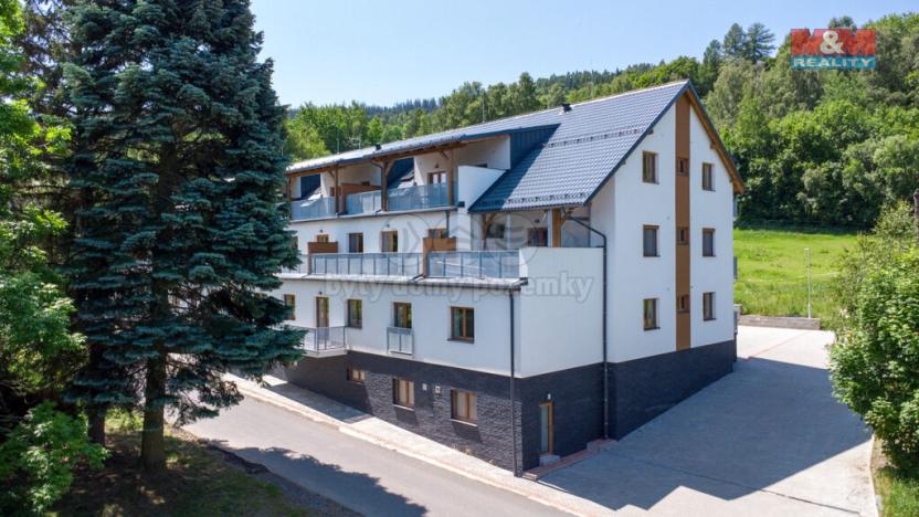 Prodej bytu 1+kk, Vrbno pod Pradědem, Žižkova, 31 m2