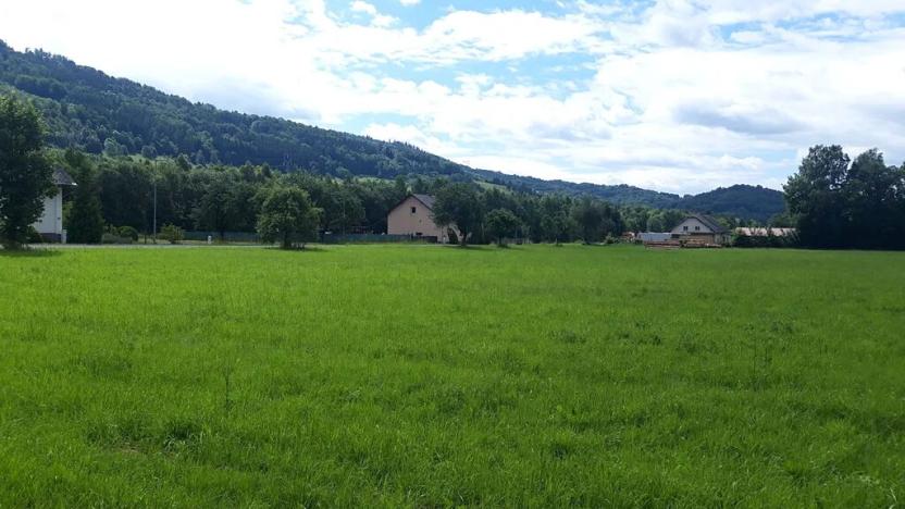 Prodej pozemku pro bydlení, Loučná nad Desnou, 36840 m2