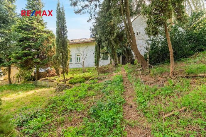 Prodej chalupy, Nečtiny, 160 m2