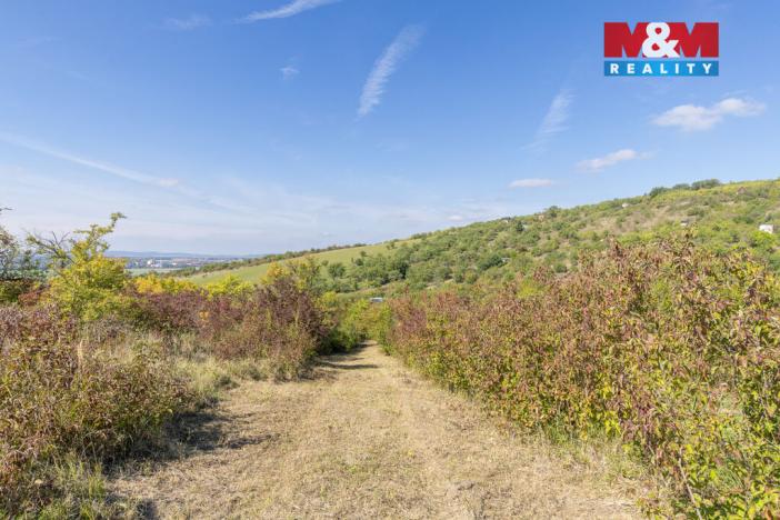 Prodej zahrady, Židlochovice, 3718 m2