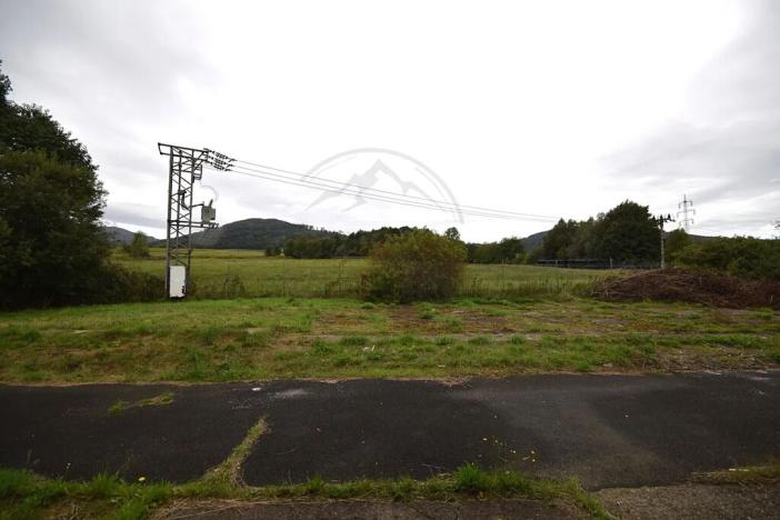 Pronájem výrobních prostor, Česká Ves, Polská, 2190 m2