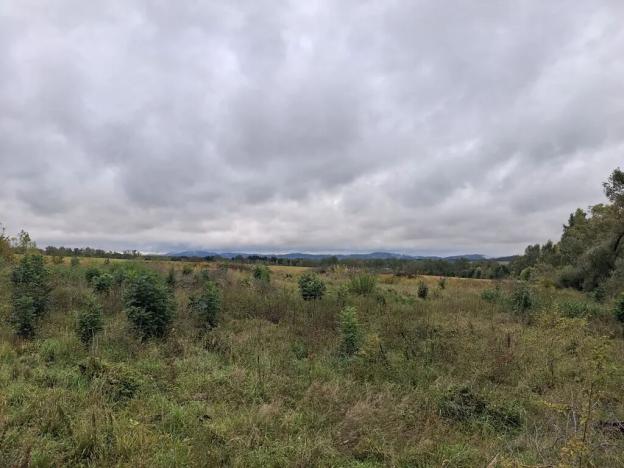 Prodej pozemku, Chodov, Nejdecká, 3546 m2