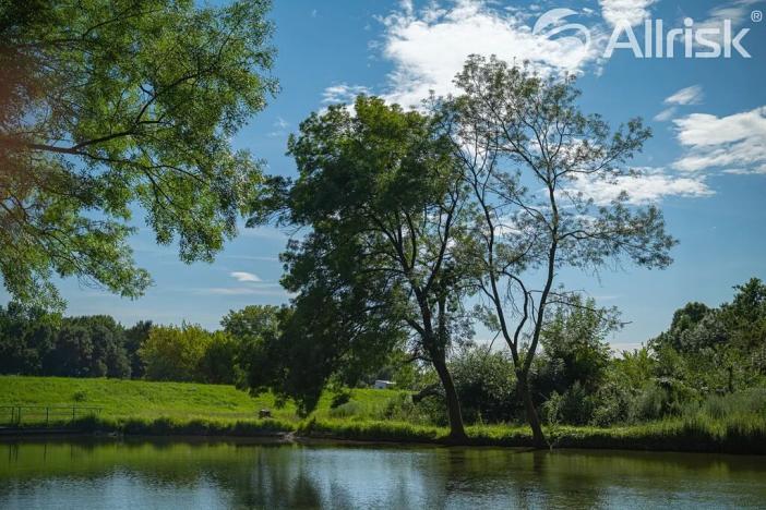 Prodej pozemku pro bydlení, Bulhary, 776 m2