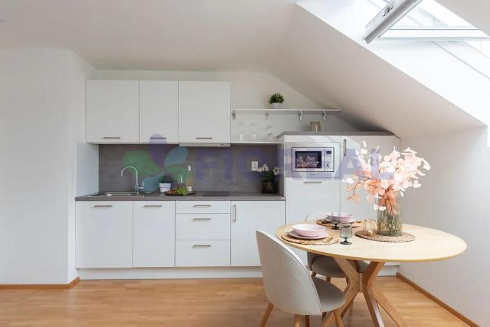 Prodej bytu 1+kk, Praha - Nové Město, Příčná, 30 m2