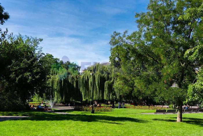 Prodej bytu 1+kk, Praha - Nové Město, Příčná, 26 m2