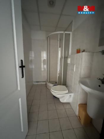 Prodej rodinného domu, Zásada, 600 m2