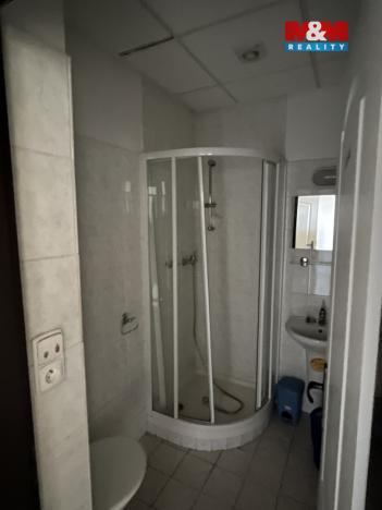 Prodej ubytování, Zásada, 600 m2