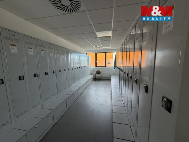 Pronájem výrobních prostor, Brandýs nad Labem-Stará Boleslav - Stará Boleslav, Nad cihelnou, 7860 m2