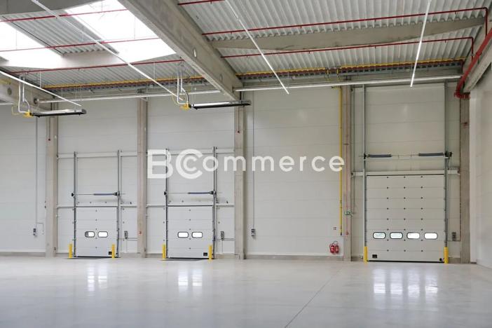 Pronájem skladu, Hrušovany u Brna, Vodní, 2988 m2