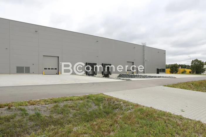 Pronájem skladu, Hrušovany u Brna, Vodní, 2988 m2