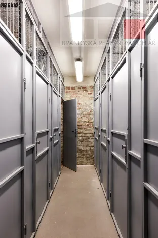 Prodej bytu 3+1, Praha - Žižkov, Křížkovského, 101 m2