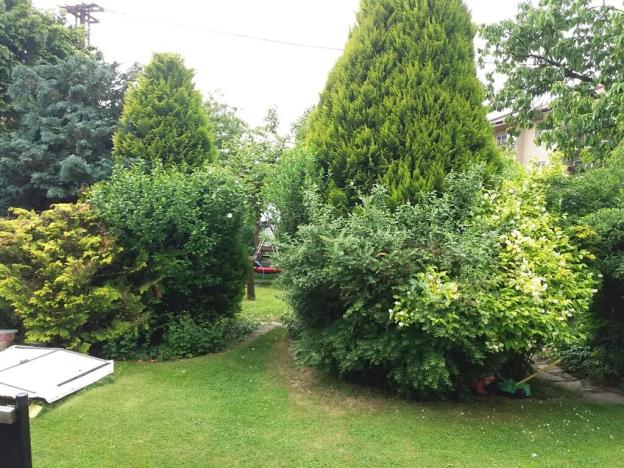 Prodej rodinného domu, Kralovice, Zahradní, 230 m2