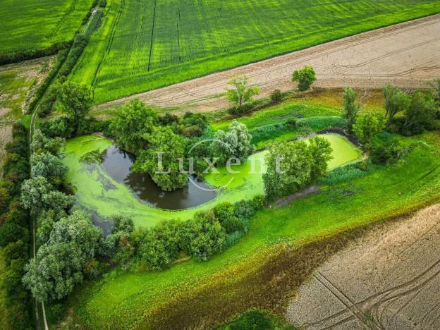 Prodej zemědělské usedlosti, Běrunice, 600 m2