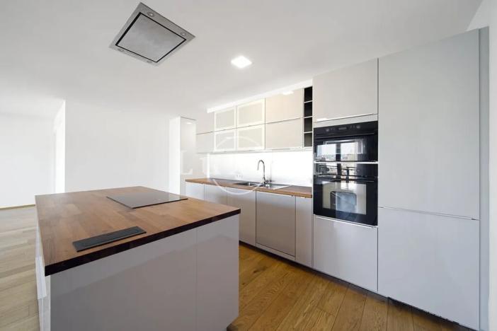 Pronájem bytu 4+kk, Plzeň, Šafaříkovy sady, 195 m2