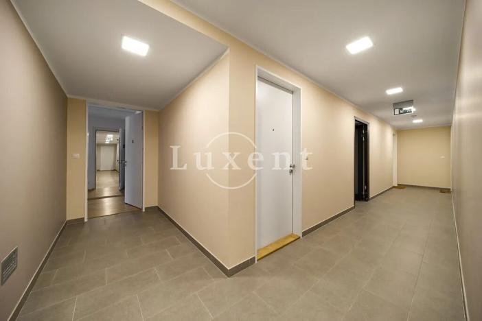 Pronájem bytu 4+kk, Plzeň, Šafaříkovy sady, 195 m2