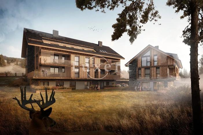 Prodej bytu 2+kk, Prášily, 91 m2