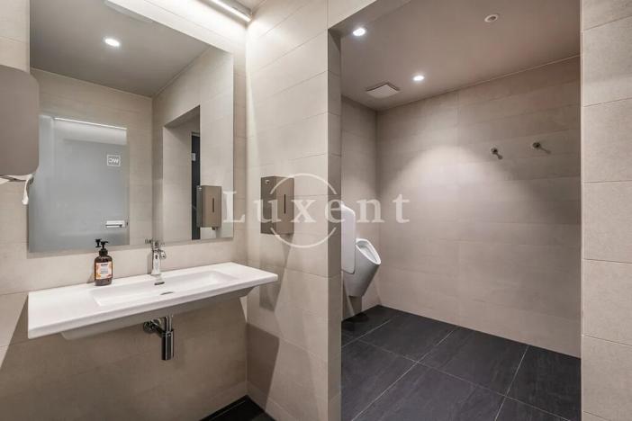 Pronájem bytu 4+kk, Praha - Smíchov, Holečkova, 174 m2