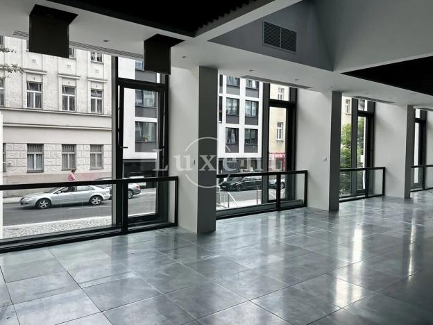 Pronájem kanceláře, Praha - Smíchov, Holečkova, 341 m2